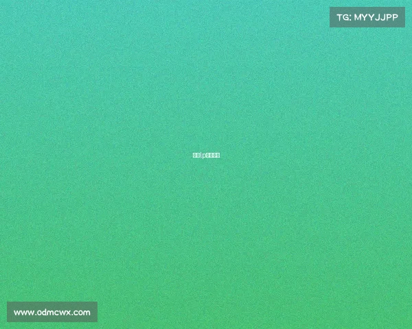 赛事lp什么意思